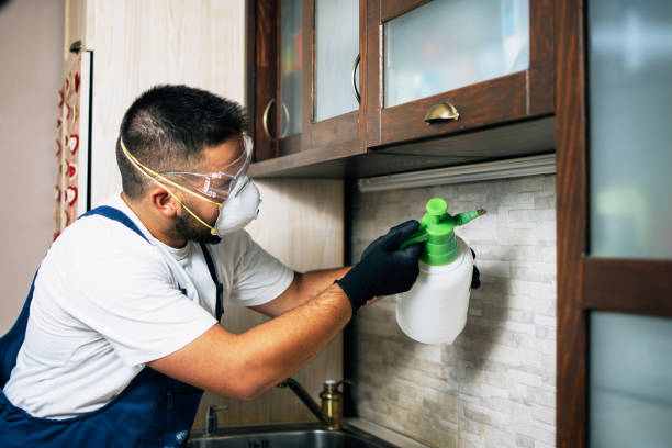 Best Best Pest Control Companies  in Arizona City, AZ