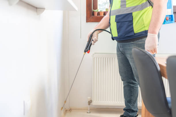 Best Residential Pest Control  in Arizona City, AZ