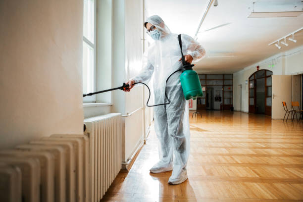Best Wasp Removal Services  in Arizona City, AZ